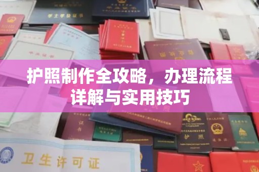 埤头护照制作全攻略，办理流程详解与实用技巧