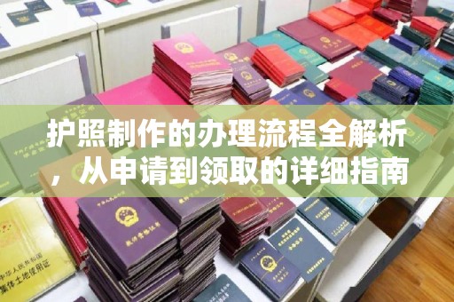 埤头护照制作的办理流程全解析，从申请到领取的详细指南