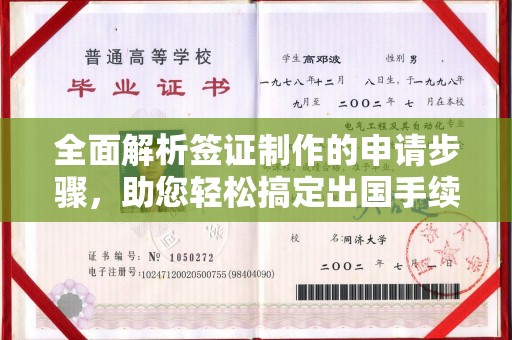 埤头全面解析签证制作的申请步骤，助您轻松搞定出国手续