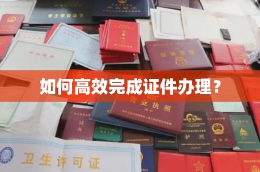 埤头如何高效完成证件办理？