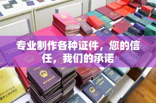 埤头专业制作各种证件，您的信任，我们的承诺