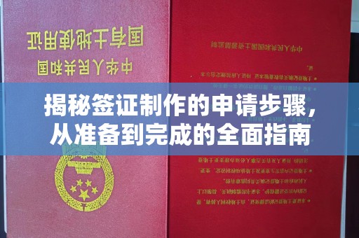 埤头揭秘签证制作的申请步骤，从准备到完成的全面指南