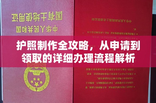 埤头护照制作全攻略，从申请到领取的详细办理流程解析